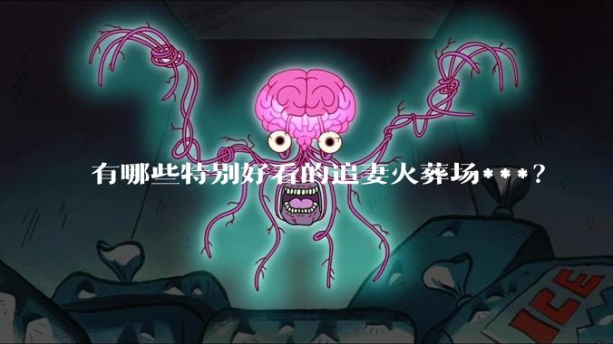 有哪些特别好看的追妻火葬场***？