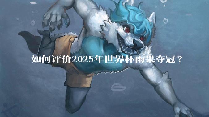 如何评价2025年世界杯雨果夺冠?