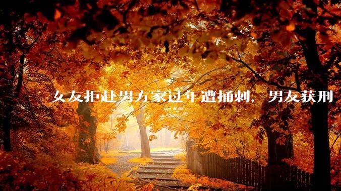 女友拒赴男方家过年遭捅刺，男友获刑 4 年 3 个月，该案件起到了哪些警示作用？