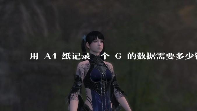用 A4 纸记录一个 G 的数据需要多少钱？