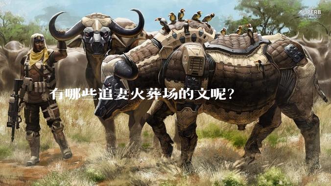 有哪些追妻火葬场的文呢？