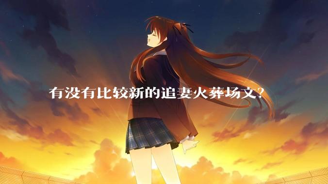 有没有比较新的追妻火葬场文？