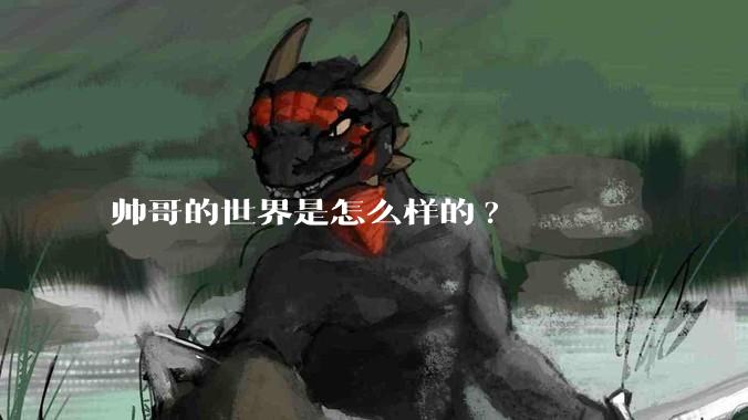 帅哥的世界是怎么样的?