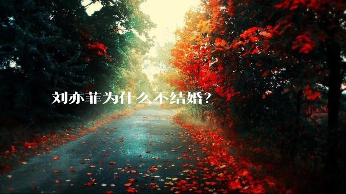 刘亦菲为什么不结婚？