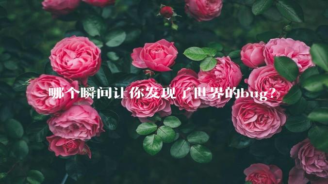 哪个瞬间让你发现了世界的bug？