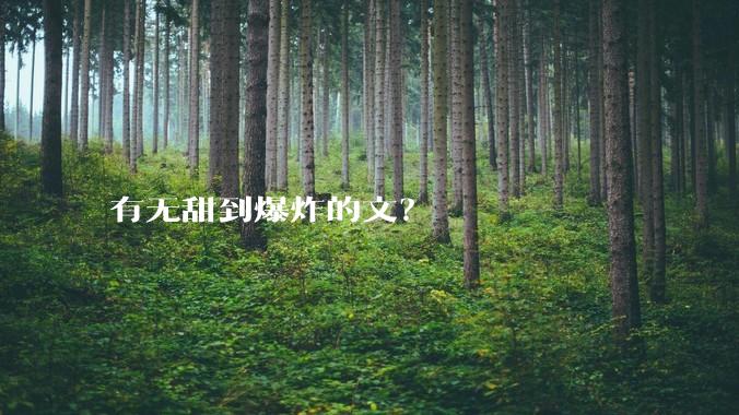 有无甜到爆炸的文？