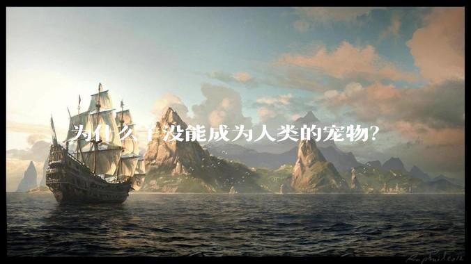 为什么羊没能成为人类的宠物？
