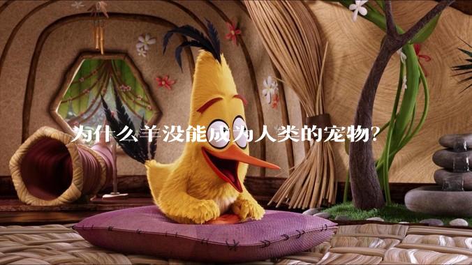 为什么羊没能成为人类的宠物？