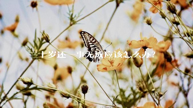 三十岁还一事无成应该怎么办？