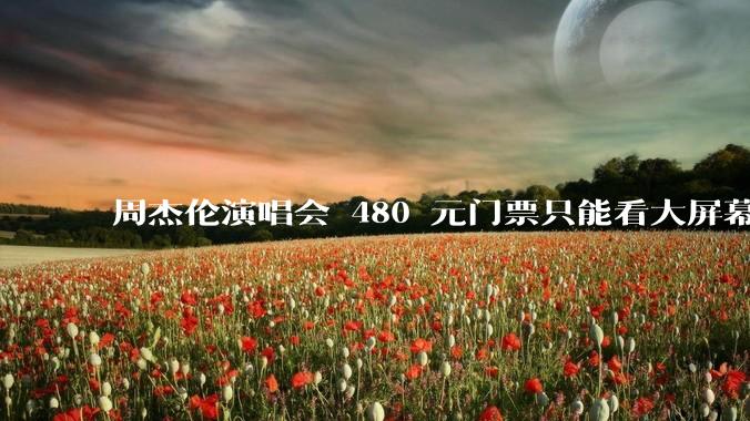 周杰伦演唱会 480 元门票只能看大屏幕，这个价格合理吗？你能接受演唱会现场看不到***吗？