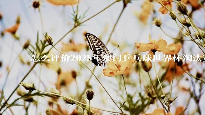 怎么评价2025年澳门乒乓球世界杯淘汰赛阶段国乒队员的签位安排？