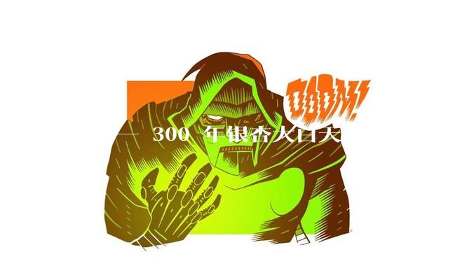湖南一 300 年银杏大白天遭校外人员盗砍，校方称值班保安被欺骗，到底是怎么回事？责任该由谁承担？
