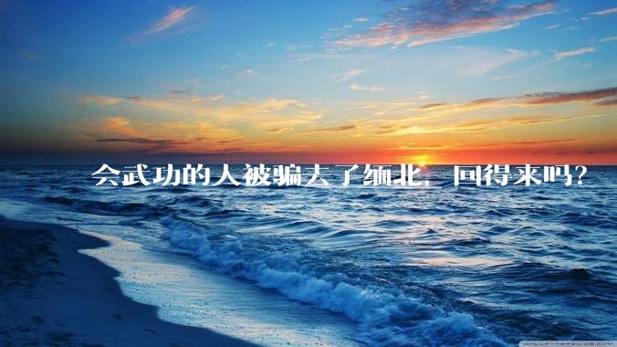 会武功的人被骗去了缅北，回得来吗？