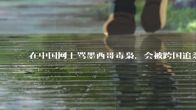 在中国网上骂墨西哥毒枭，会被跨国追杀吗？